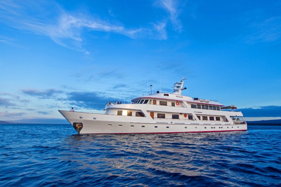 M/Y Passion
