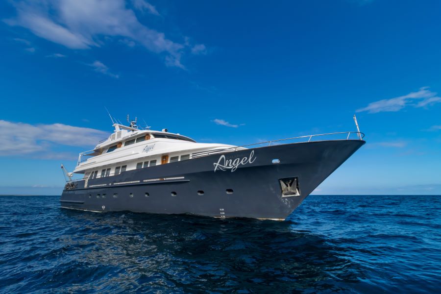 M/Y Galapagos Angel