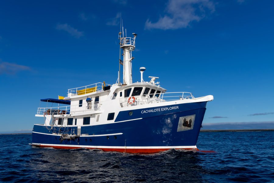 M/Y Cachalote Explorer