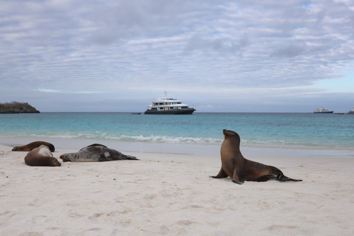 Gardner Bay, Española Island, Galápagos
