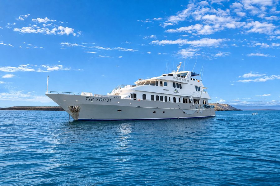 M/Y Tip Top IV